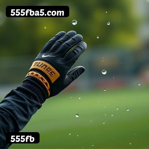 Níveis do programa VIP da 555fb